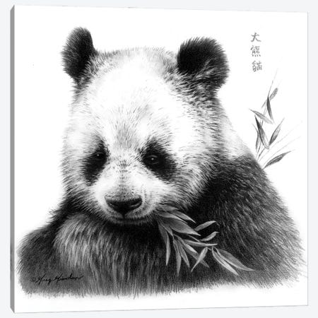Panda I Canvas Print #GRC85} by Greg & Company Art Print