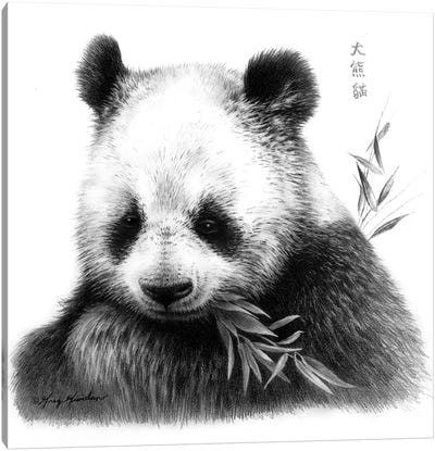Panda I Canvas Art Print