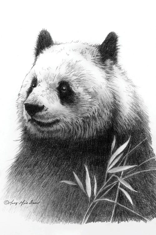 Panda II