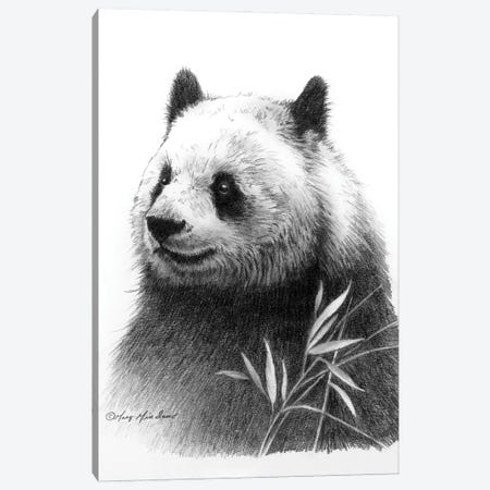 Panda II Canvas Print #GRC86} by Greg & Company Canvas Print