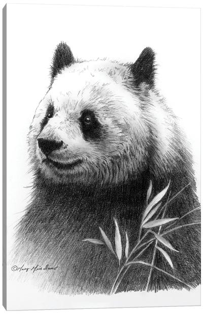 Panda II Canvas Art Print - Greg & Company