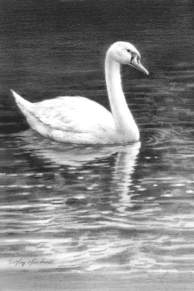 Swan by Greg Giordano canvas print