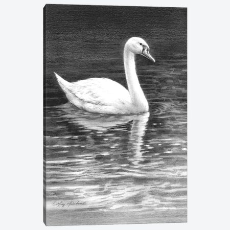 Swan Canvas Print #GRC87} by Greg Giordano Art Print
