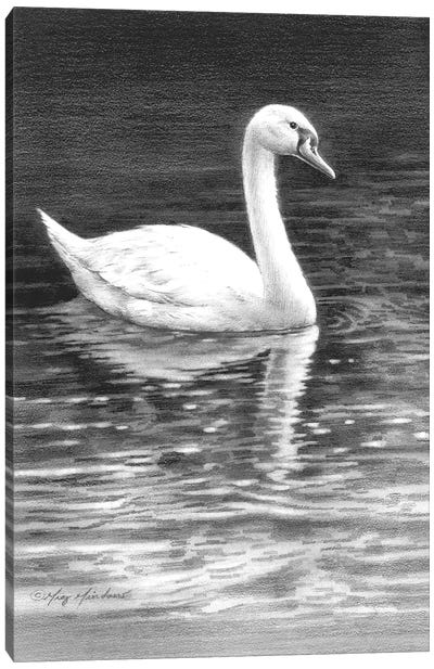Swan Canvas Art Print