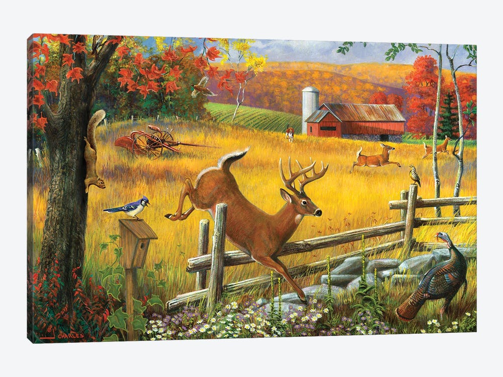 Deer Jumping Fence by J. Charles 1-piece Canvas Artwork