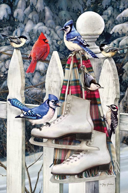 Birds On Fence With Skates