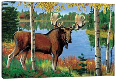 Moose At Lake Canvas Art Print - J. Charles