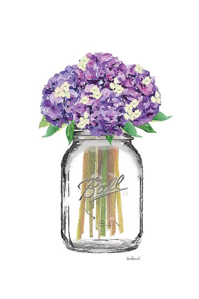 Hydrangeas: Glass Jar With Purple & Yellow Hydrangeas by Amanda Greenwood