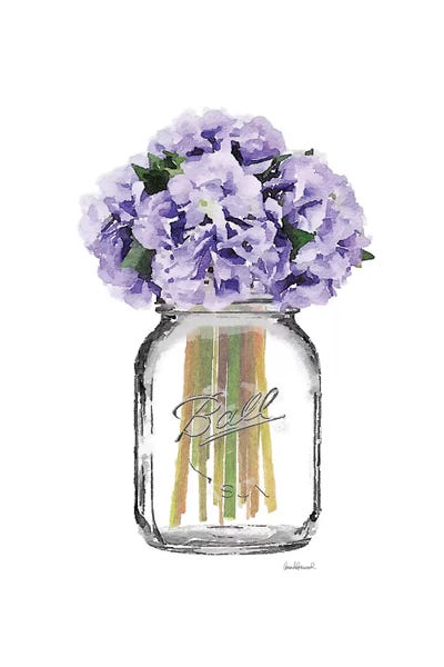Hydrangeas: Glass Jar With Purple Hydrangeas by Amanda Greenwood