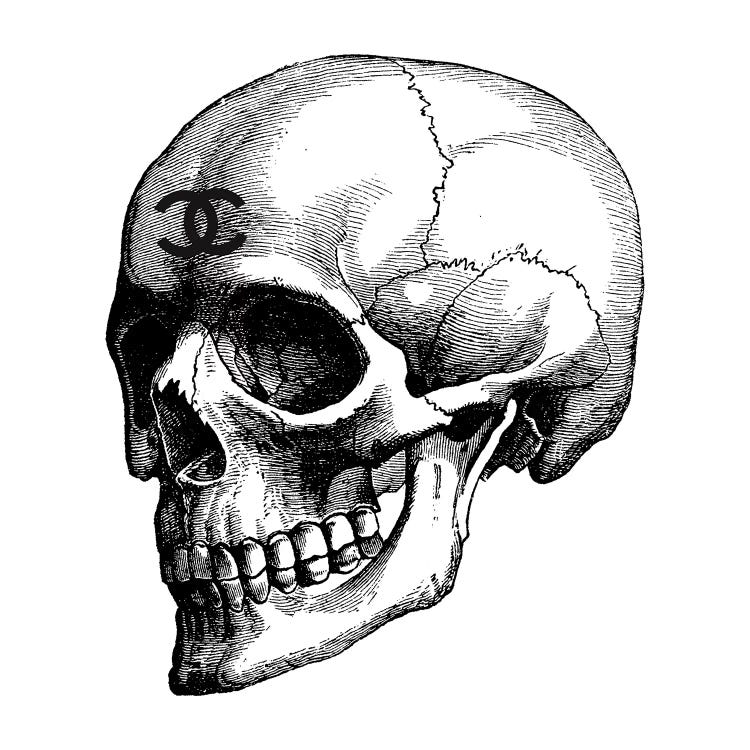 Skull