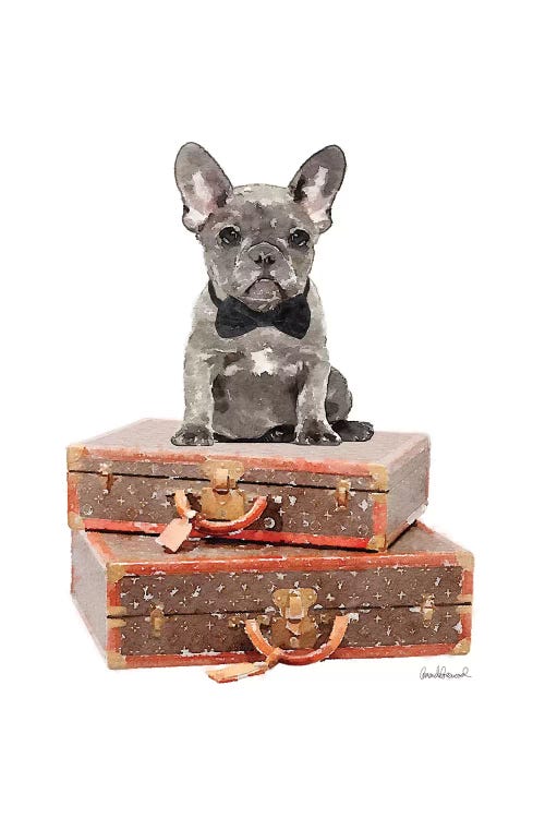Luggage Grey Frenchie by Amanda Greenwood wall art
