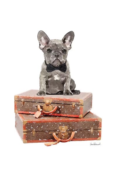 French Bulldogs: Luggage Grey Frenchie by Amanda Greenwood