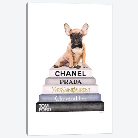 Grey And Blue Bookstack Topped With Fawn Frenchie Canvas Print #GRE249} by Amanda Greenwood Canvas Print