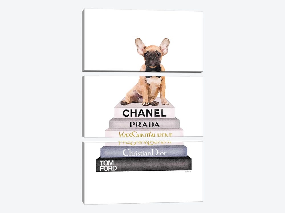 Grey And Blue Bookstack Topped With Fawn Frenchie by Amanda Greenwood 3-piece Art Print