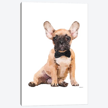 Fawn Frenchie Canvas Print #GRE257} by Amanda Greenwood Canvas Print