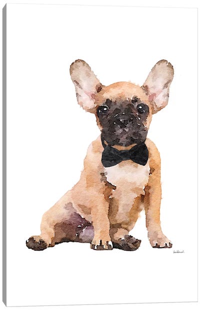Fawn Frenchie Canvas Art Print - French Bulldog Art