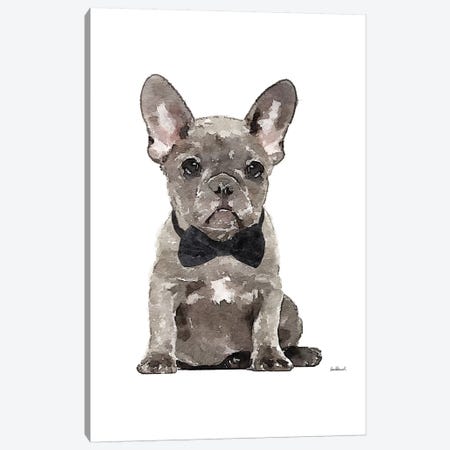 Gray Frenchie Canvas Print #GRE258} by Amanda Greenwood Canvas Artwork