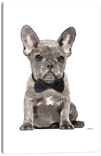 Gray Frenchie Canvas Art Print - French Bulldog Art