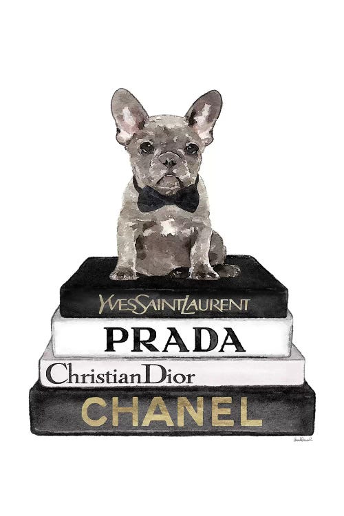 Books Of Fashion, Grey, Grey Frenchie