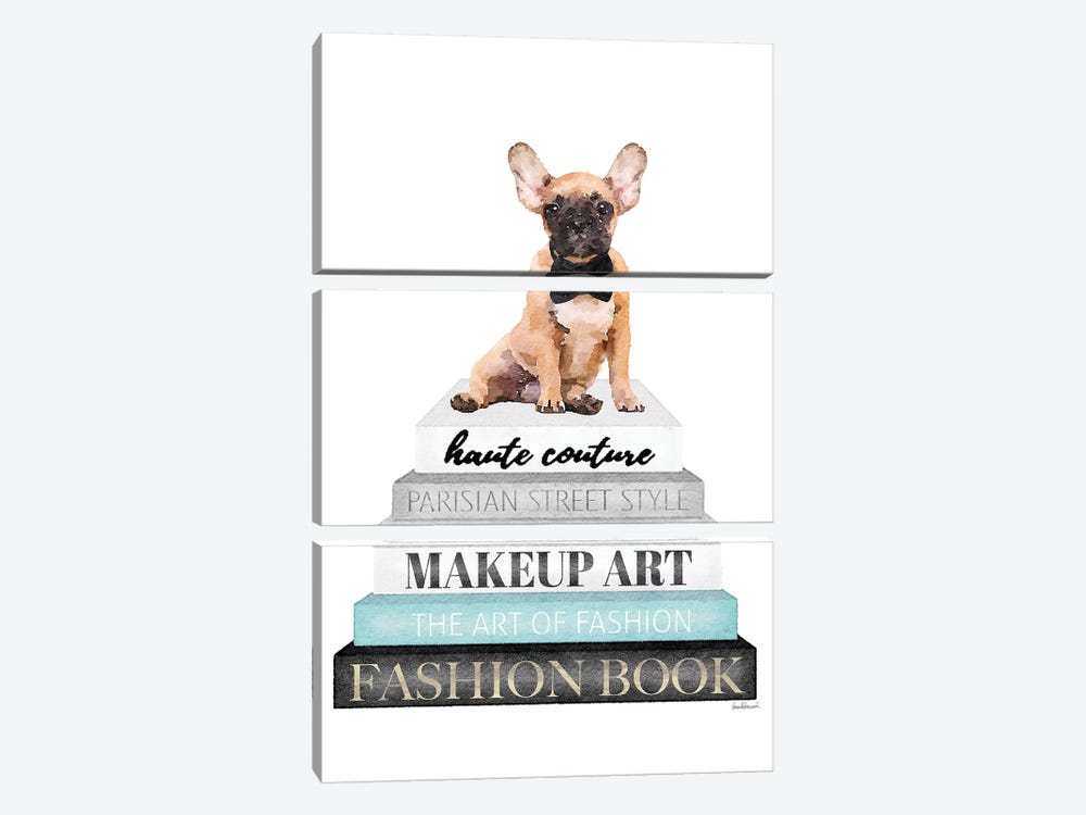 Grey Books With Teal, Fawn Frenchie by Amanda Greenwood 3-piece Canvas Wall Art