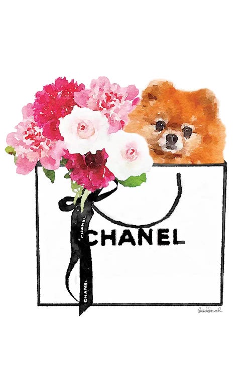 Small White Shopper, Flowers & Red Pomeranian