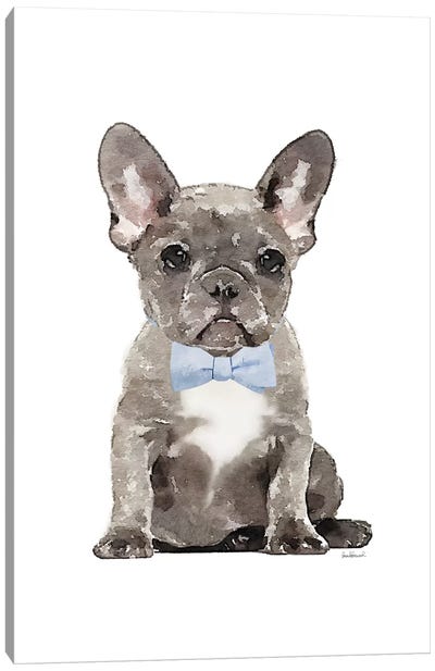 Grey French Bulldog With Blue Bow Tie Canvas Art Print - French Bulldog Art