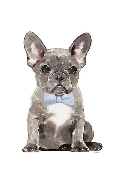 Amanda Greenwood: Grey French Bulldog With Blue Bow Tie by Amanda Greenwood