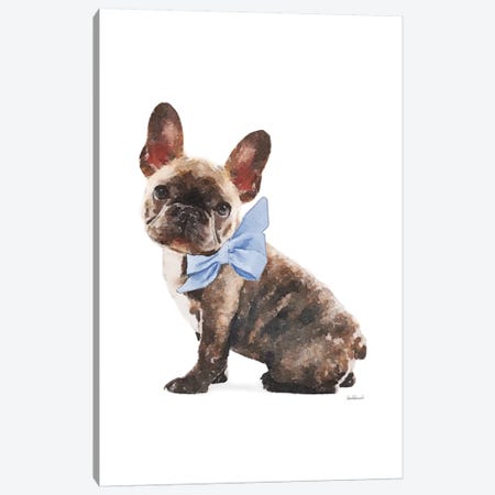 Brindle Frenchie With Blue Bow Canvas Print #GRE387} by Amanda Greenwood Art Print