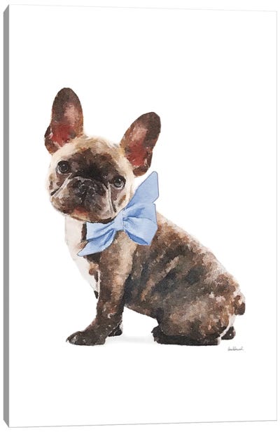 Brindle Frenchie With Blue Bow Canvas Art Print - French Bulldog Art