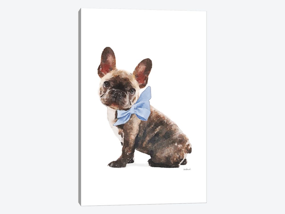 Brindle Frenchie With Blue Bow by Amanda Greenwood 1-piece Canvas Art