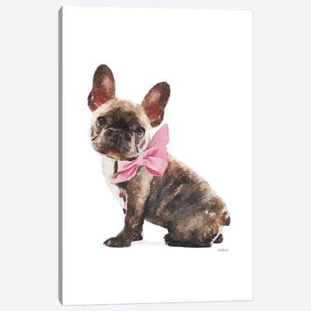 Brindle Frenchie With Pink Bow Canvas Print #GRE388} by Amanda Greenwood Canvas Artwork