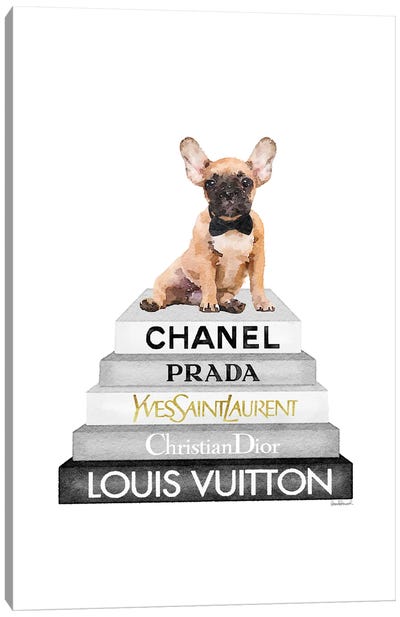 Grey Fashion Books With Fawn Frenchie Canvas Art Print - French Bulldog Art