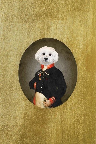 Maltese: Nelson Portrait Maltese by Amanda Greenwood
