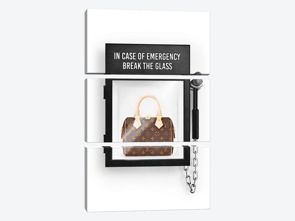 In Case Of Emergency, With Brown Bag by Amanda Greenwood 3-piece Canvas Wall Art