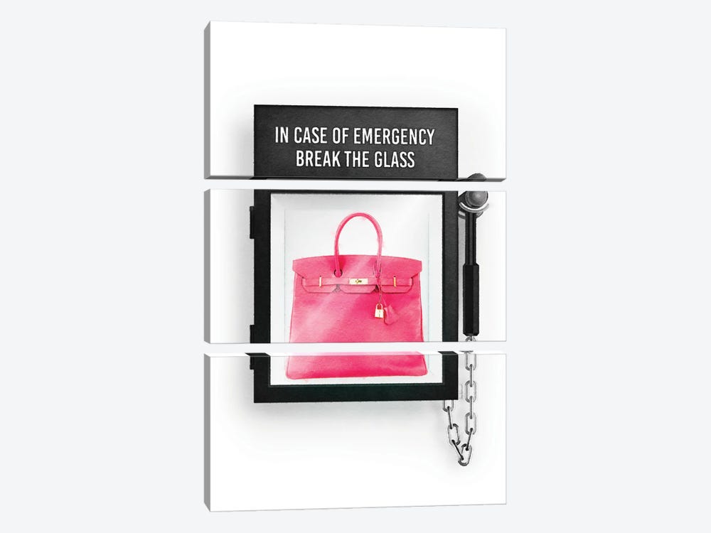 In Case Of Emergency, With Pink Bag by Amanda Greenwood 3-piece Canvas Print
