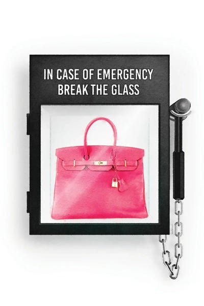 Hermés: In Case Of Emergency, With Pink Bag by Amanda Greenwood