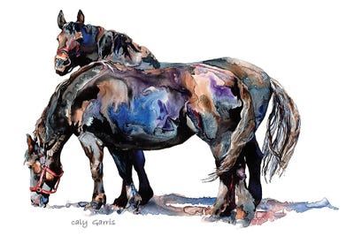 A Fine Pair by Caly Garris framed canvas print