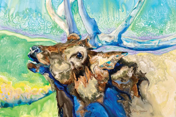 Single Elk by Caly Garris wall art