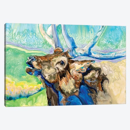 Single Elk Canvas Print #GRL102} by Caly Garris Canvas Wall Art
