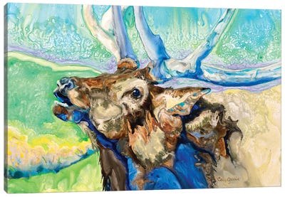 Single Elk Canvas Art Print - Elk Art