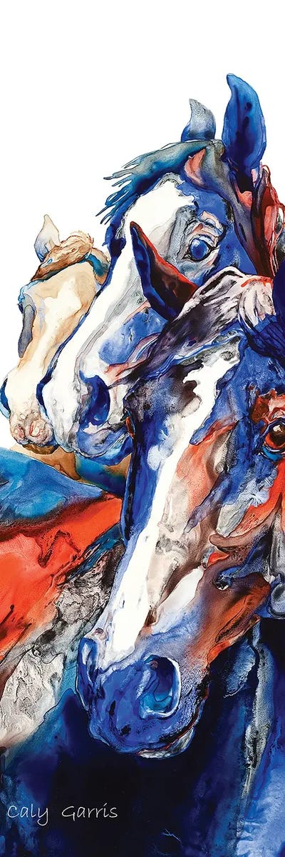 Swash Bucklers by Caly Garris framed canvas print