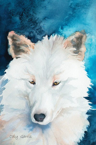 Winter Solstice by Caly Garris framed canvas print