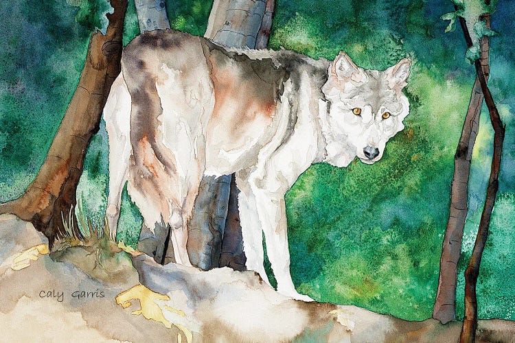 Wolf I