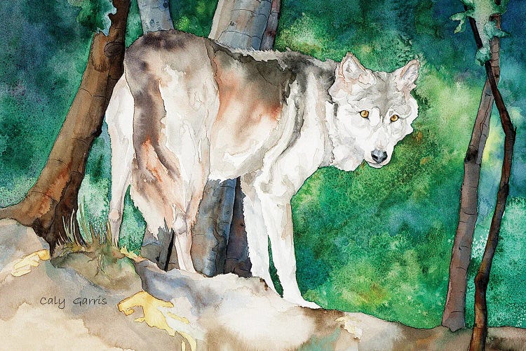 Wolf I by Caly Garris wall art