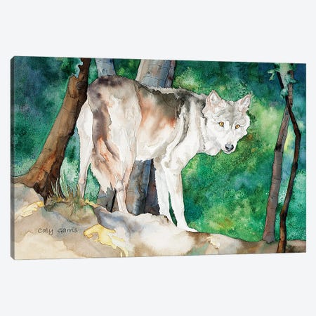 Wolf I Canvas Print #GRL118} by Caly Garris Canvas Print