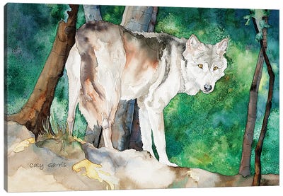 Wolf I Canvas Art Print - Caly Garris