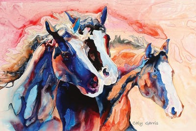 Blazes Of Glory by Caly Garris framed canvas print