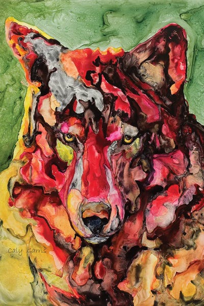 Yukon Jack by Caly Garris framed canvas print