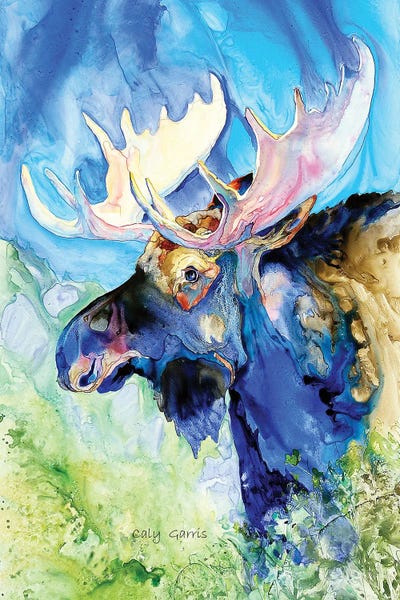 Blue Moose by Caly Garris canvas print