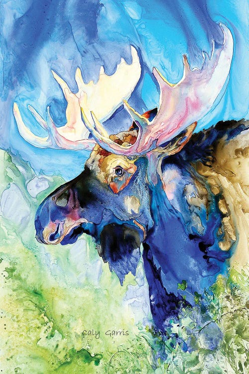 Blue Moose by Caly Garris wall art
